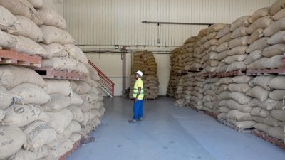 En Côte d'Ivoire, la crise du cacao révèle des tensions au sein de la filière