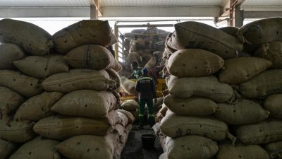 Côte d’Ivoire: les stocks résiduels de cacao issus de la campagne principale toujours en question