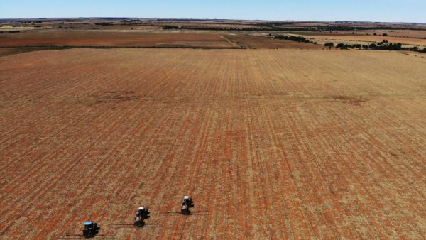 Guerre au Moyen-Orient: l'impact sur l'importation d'engrais et d'aliments en Afrique