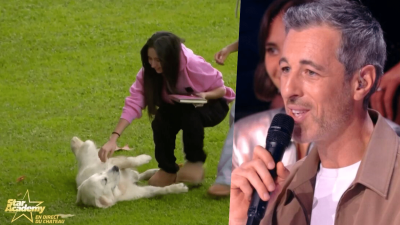 Michael Goldman : par amour pour Wendy, sa chienne, il a décidé de déménager tout près du château de Dammarie-les-Lys