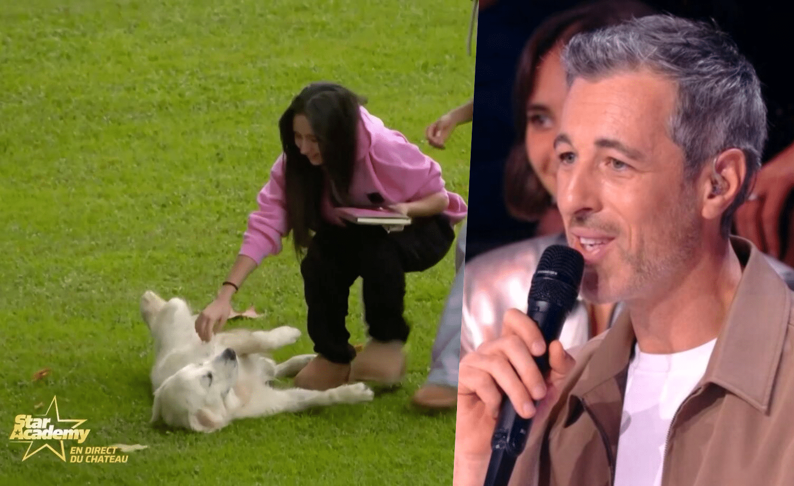 Michael Goldman : par amour pour Wendy, sa chienne, il a décidé de déménager tout près du château de Dammarie-les-Lys