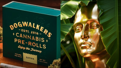 Oscars 2026 : pas de statuette, mais 300 000 € de cadeaux (et du cannabis) pour les perdants !