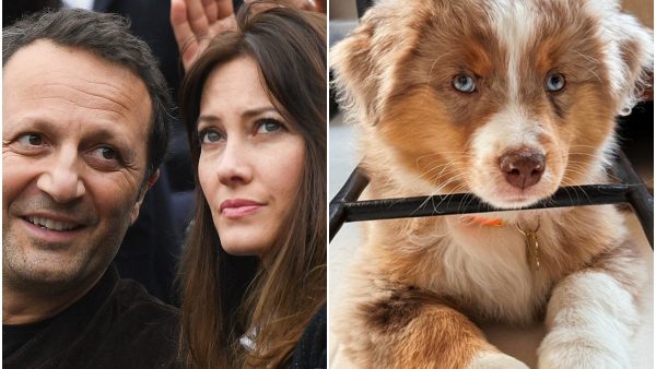Après son compagnon Arthur, Mareva Galanter publie à son tour des photos de l’adorable Aïto, nouveau membre de leur famille