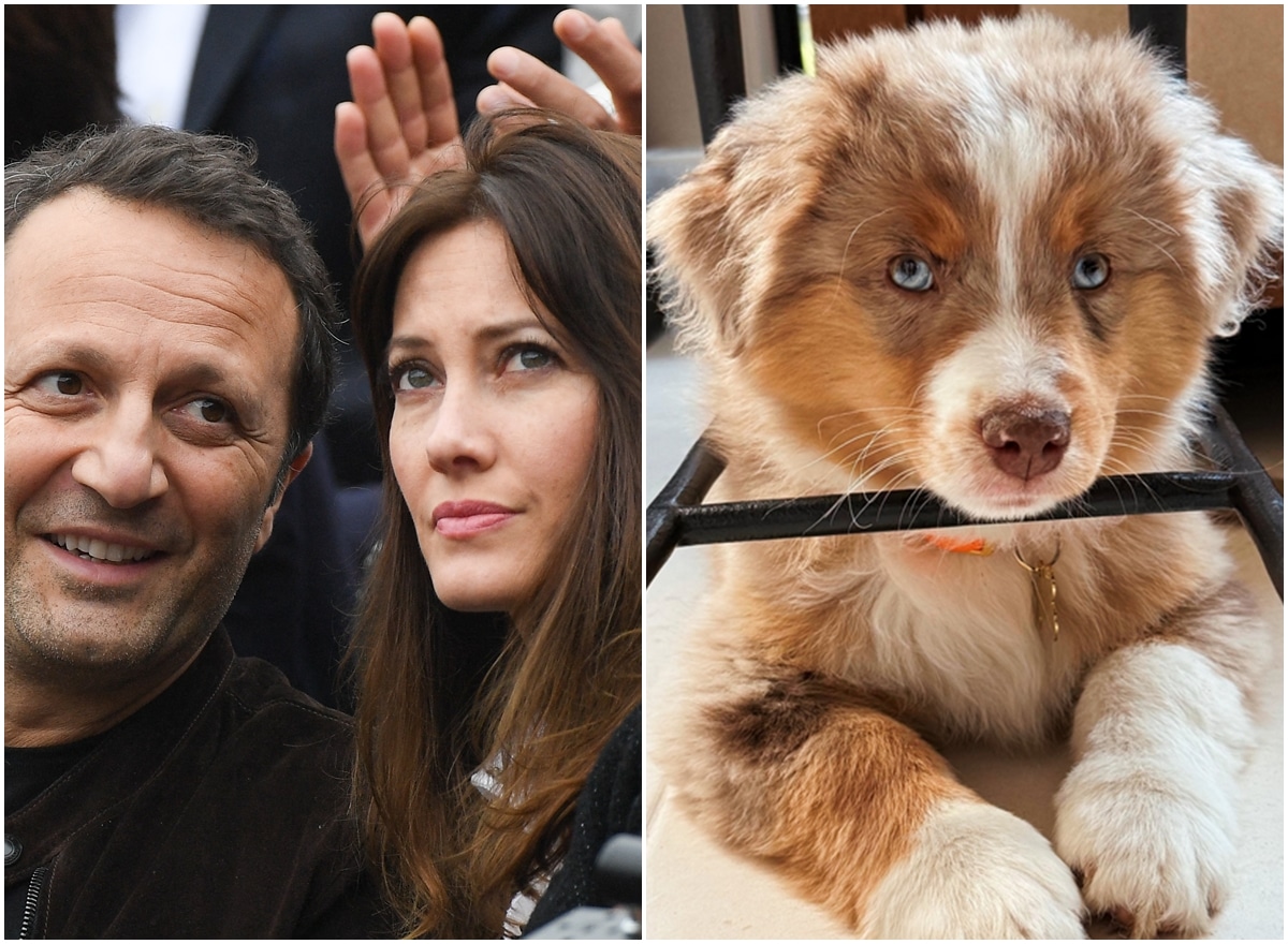 Après son compagnon Arthur, Mareva Galanter publie à son tour des photos de l’adorable Aïto, nouveau membre de leur famille