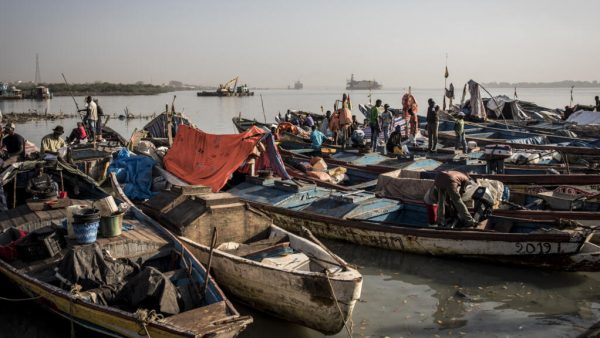 Des navires-usines chinois accusés de vider les eaux bissau-guinéennes de leurs poissons