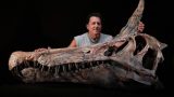 Découverte d’une nouvelle espèce de dinosaure au Niger: «C'est un moment dont on se souviendra» - Le grand invité Afrique