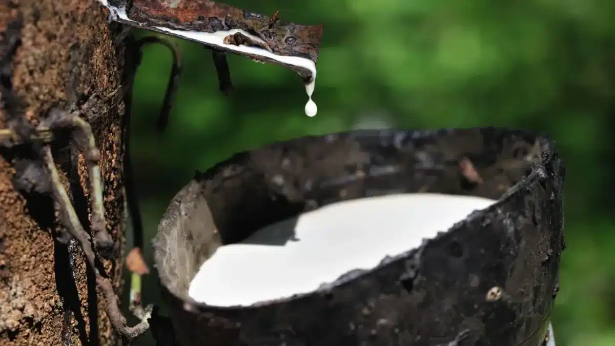 6 milliards disparus - les zones d’ombre qui secouent la SRCI