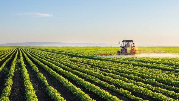 98 millions USD pour développer les filières coton, café et manio