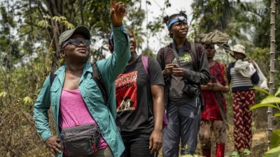 Iroro Tanshi et les membres de son équipe installent des pièges à chauves-souris à Odukpani, dans l'État de Cross River au Nigeria.