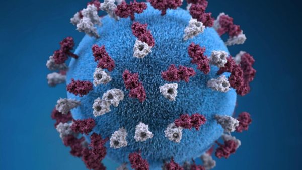 La rougeole fait partie des infections les plus contagieuses.