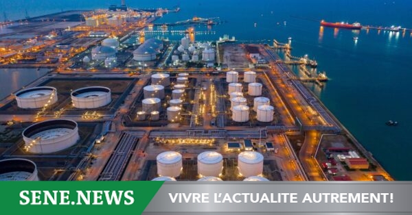 Or, pétrole, gaz : les exportations du Sénégal rebondissent en février, 453 milliards de FCFA atteints