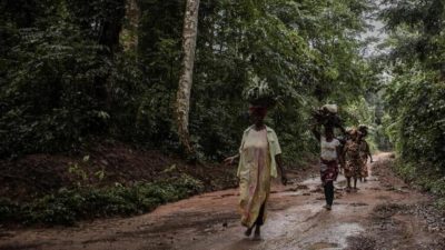 RDC: la réserve forestière de Yangambi élevée au rang de modèle par l'Unesco