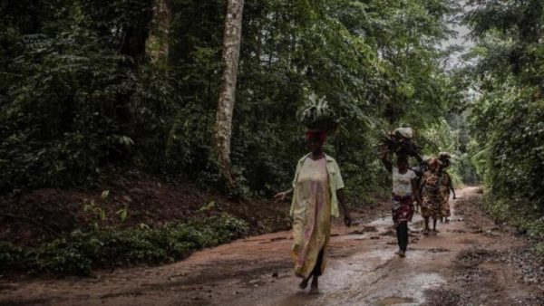 RDC: la réserve forestière de Yangambi élevée au rang de modèle par l'Unesco
