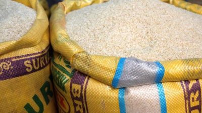 ywAAAAAAQABAAACAUwAOw== - Senenews - Actualité au Sénégal, Politique, Économie, Sport