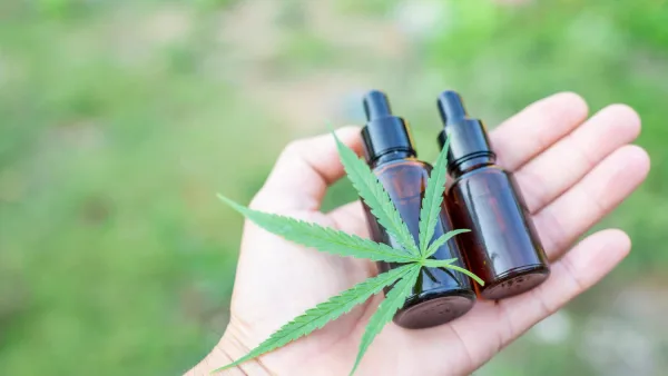 Comment consommer du CBD sans THC sans risquer son permis ?