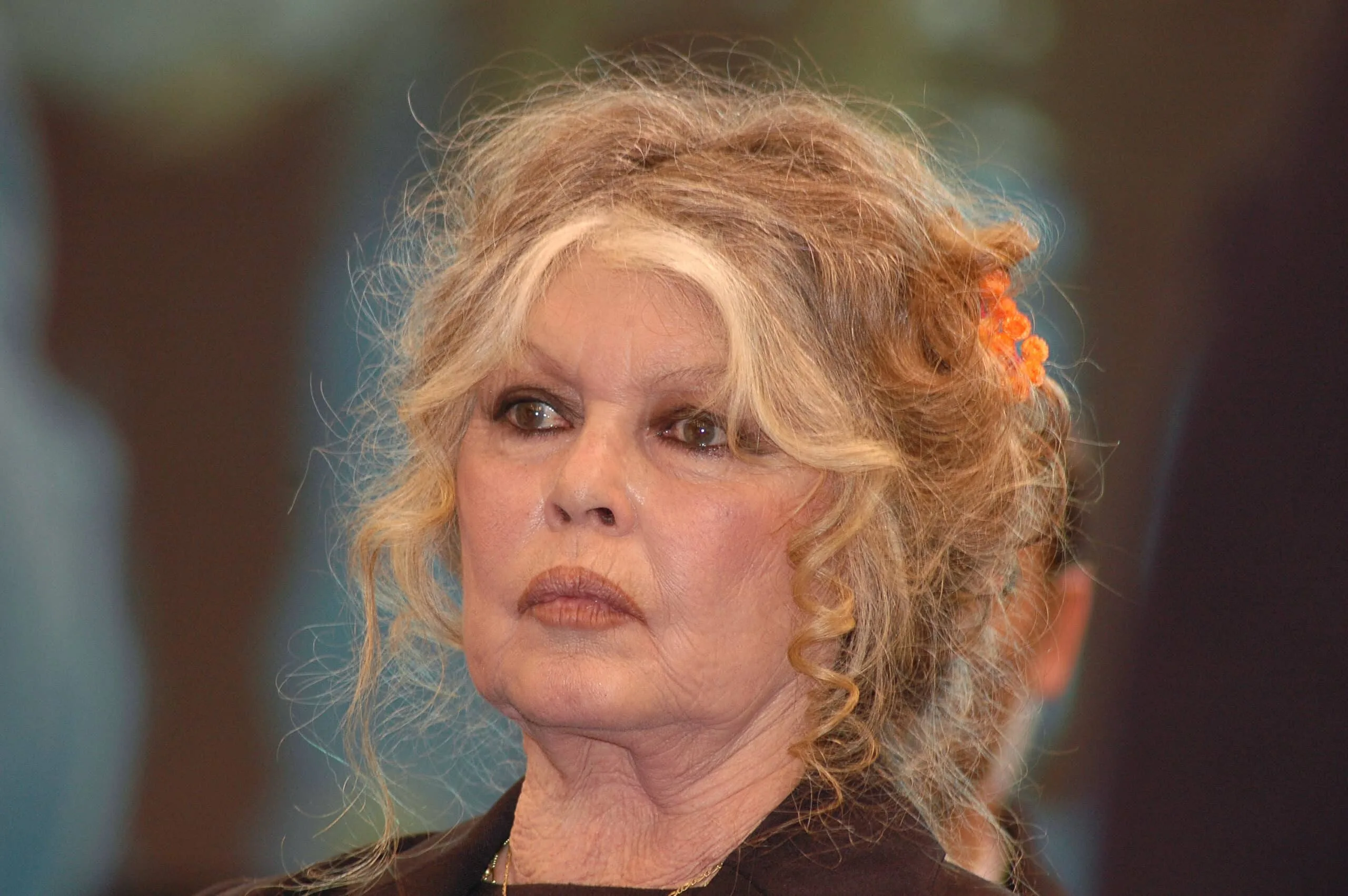 Brigitte Bardot : cinq mois après sa mort, son appartement de 70 m² mis en vente pour 1 million d’euros