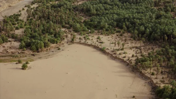 La Mauritanie intensifie ses semis aériens pour freiner la désertification