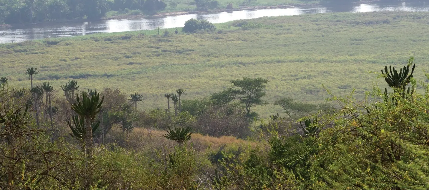 Savane et fleuve Kwanza dans le parc national de Quiçama, en Angola
