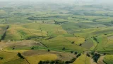 Champs de canne à sucre au KwaZulu-Natal, en Afrique du Sud