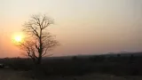 Paysage de brousse dans la province de Tete au Mozambique