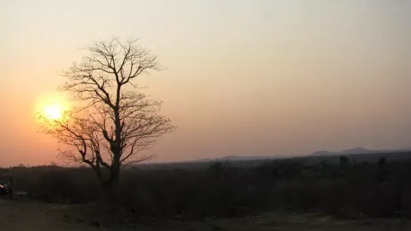 Paysage de brousse dans la province de Tete au Mozambique