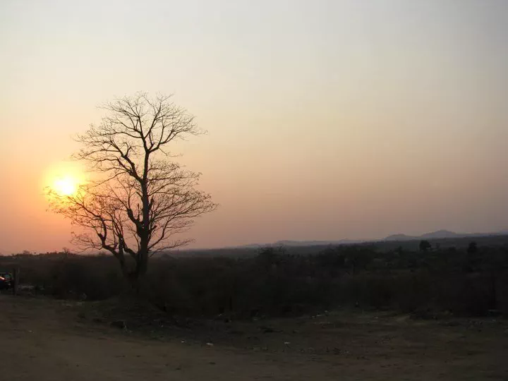 Paysage de brousse dans la province de Tete au Mozambique