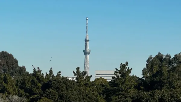 Vue panoramique de Tokyo avec la Tokyo Skytree